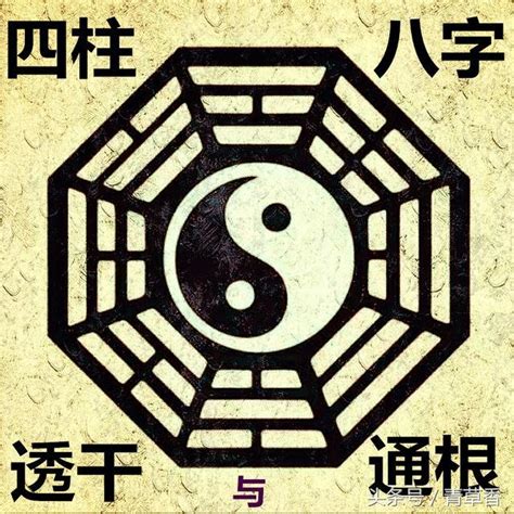 透出天干|透干和通根的区别 – 天干通根与地支透干